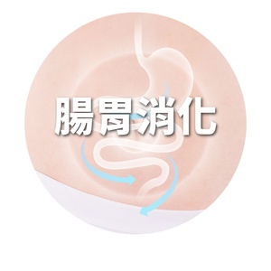 腸胃消化