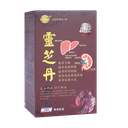 靈芝丹.png